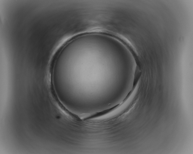 X0000115801414200911201348