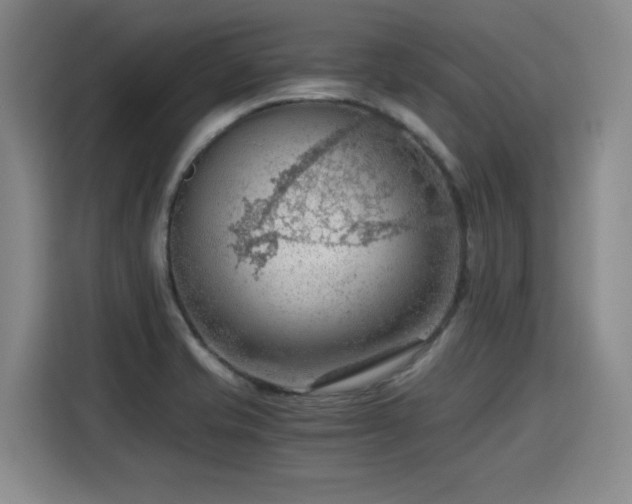 X0000115801421200911201349