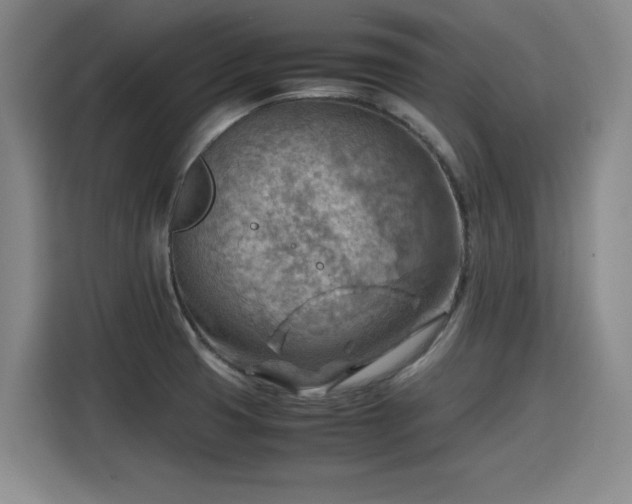 X0000115801425200911201349