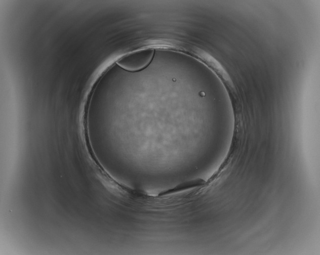 X0000115801427200911201349