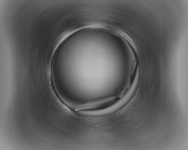 X0000115801428200911201349