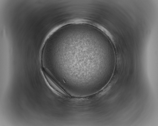 X0000115801429200911201349