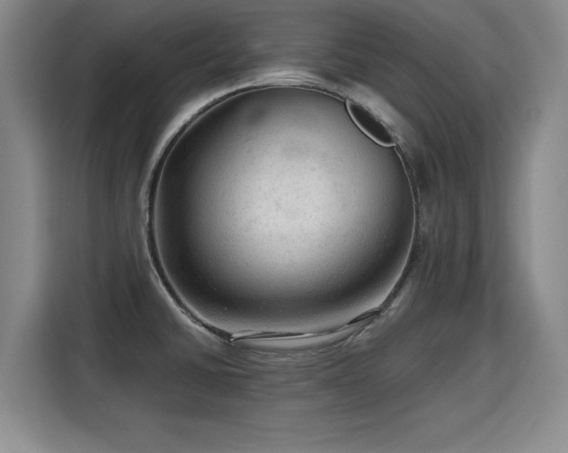 X0000115801430200911201349