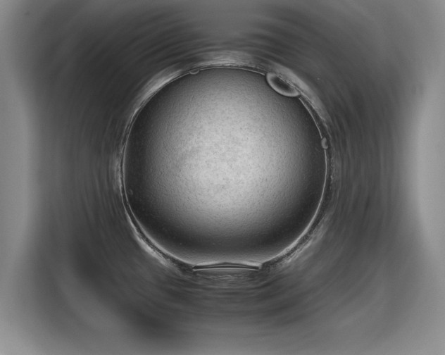 X0000115801433200911201349