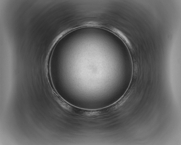 X0000115801435200911201349