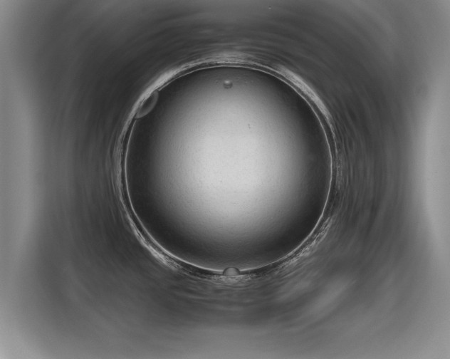 X0000115801437200911201349