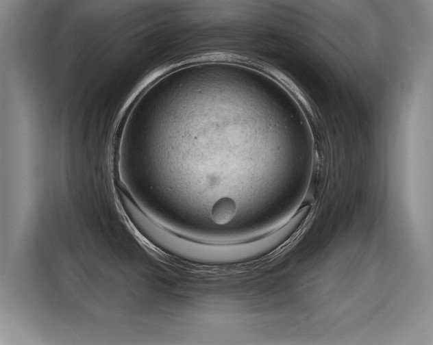 X0000115801438200911201349