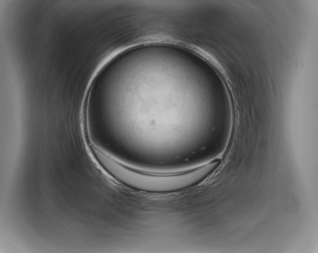 X0000115801440200911201349