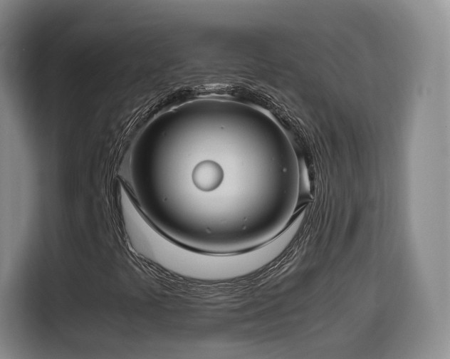 X0000115801441200911201348