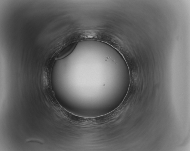 X0000115801442200911201348