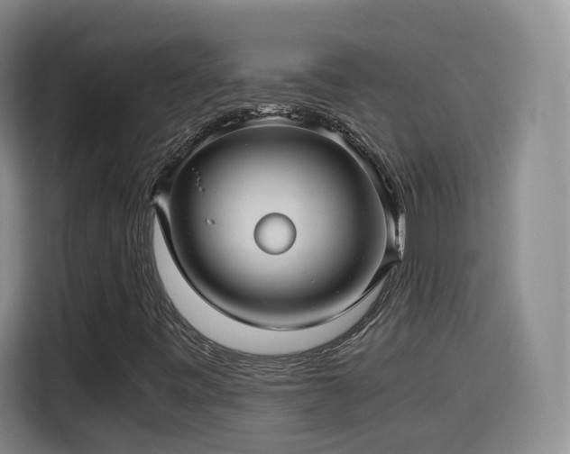 X0000115801443200911201348