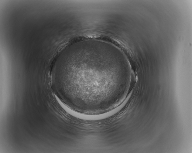 X0000115801444200911201348