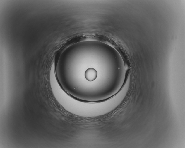 X0000115801445200911201348