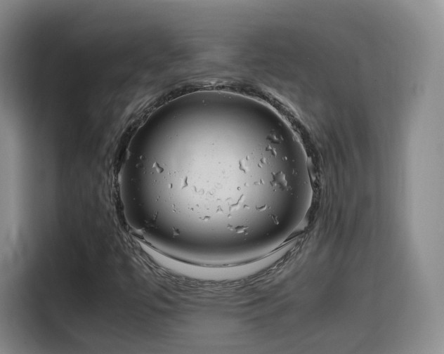 X0000115801447200911201348