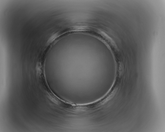 X0000115801449200911201348