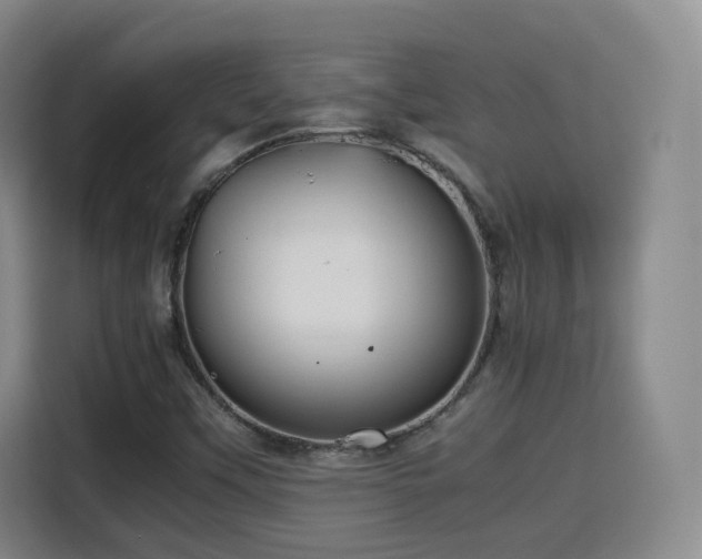 X0000115801451200911201348