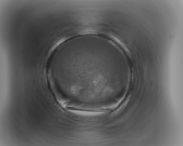 X0000115801453200911201348