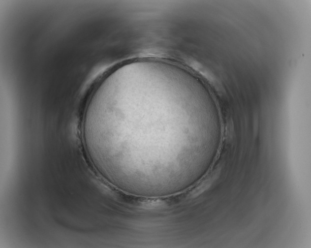 X0000115801454200911201348