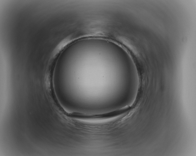 X0000115801455200911201348