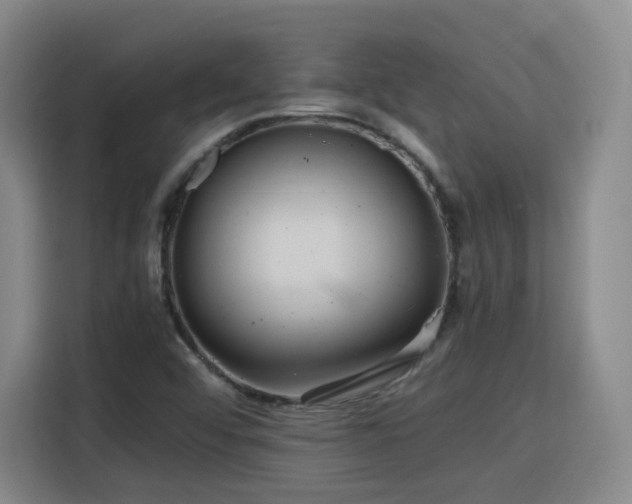 X0000115801456200911201348