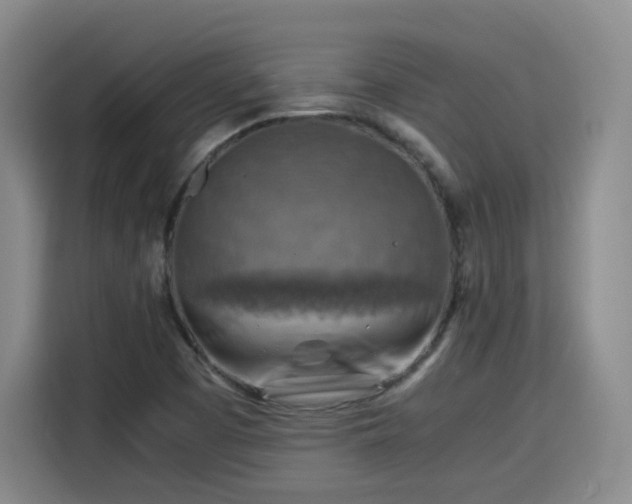 X0000115801457200911201348