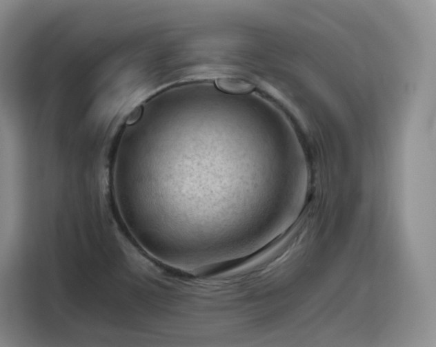 X0000115801459200911201348