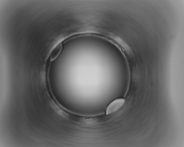 X0000115801460200911201348