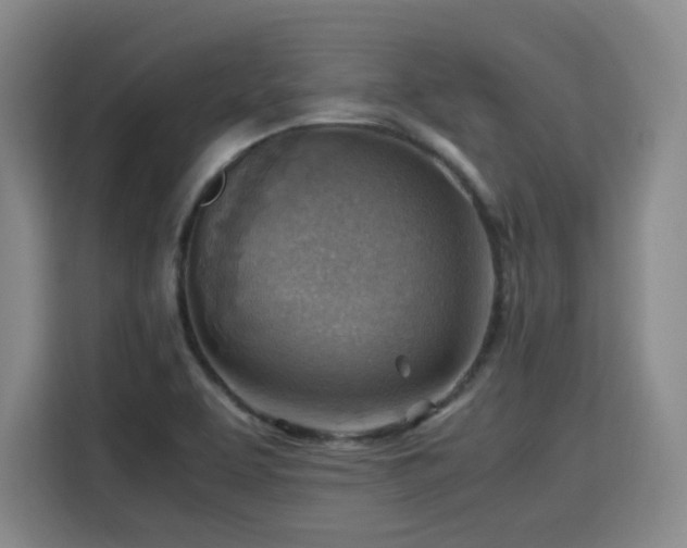 X0000115801463200911201348