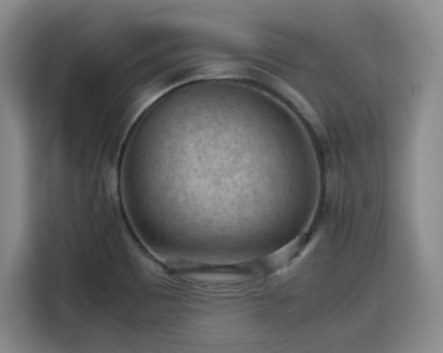 X0000115801465200911201348