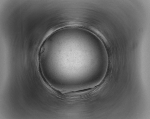 X0000115801467200911201348