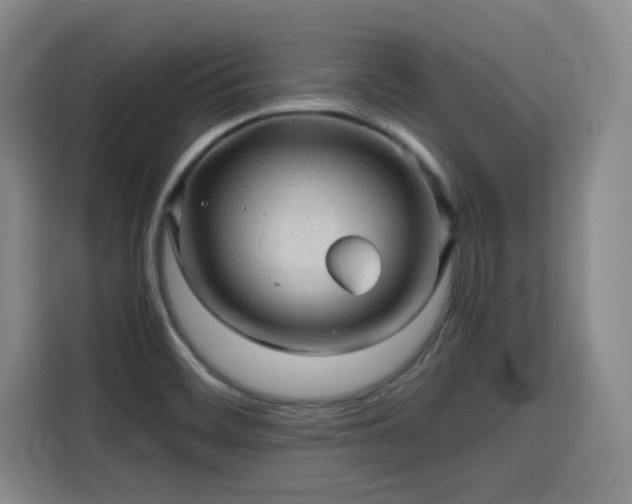 X0000115801468200911201348