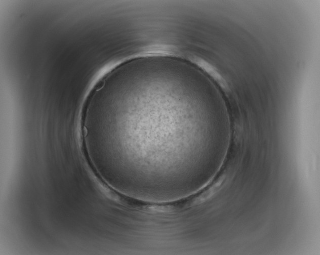 X0000115801469200911201348