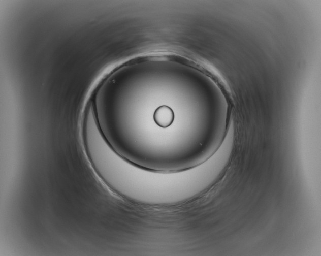 X0000115801472200911201348