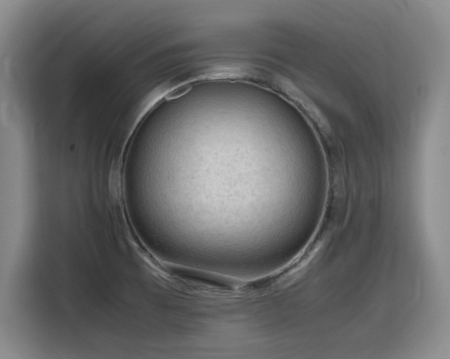 X0000115801473200911201348