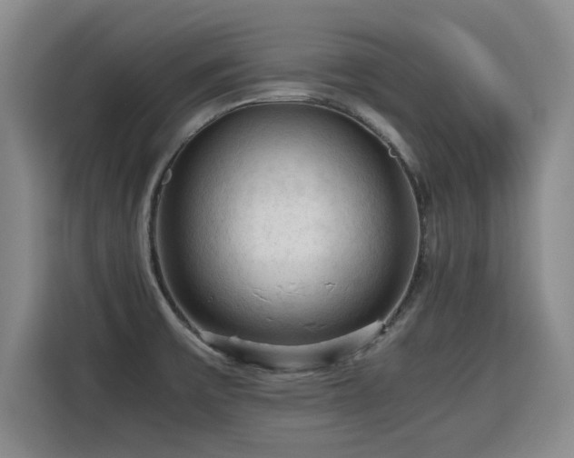 X0000115801475200911201348