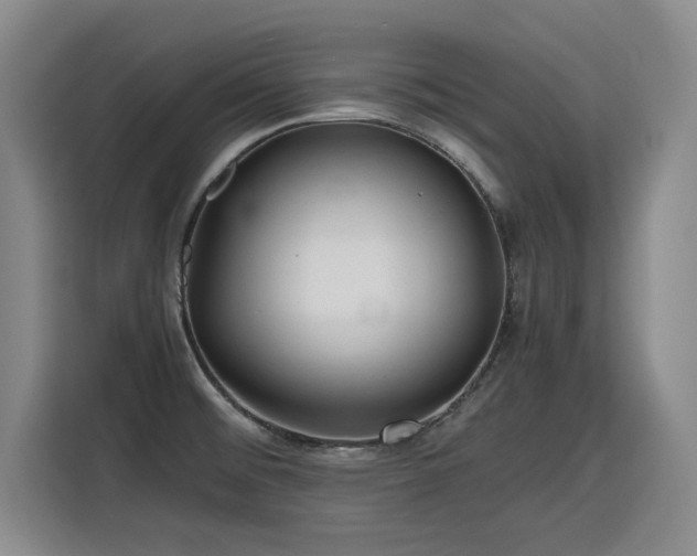 X0000115801476200911201348