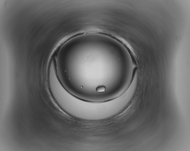 X0000115801477200911201348