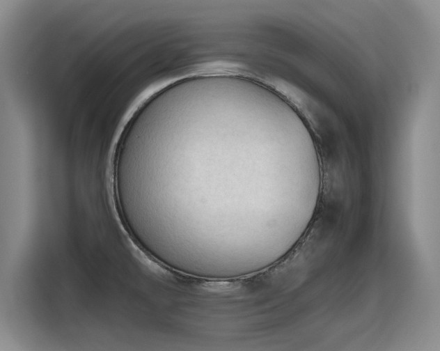 X0000115801478200911201348