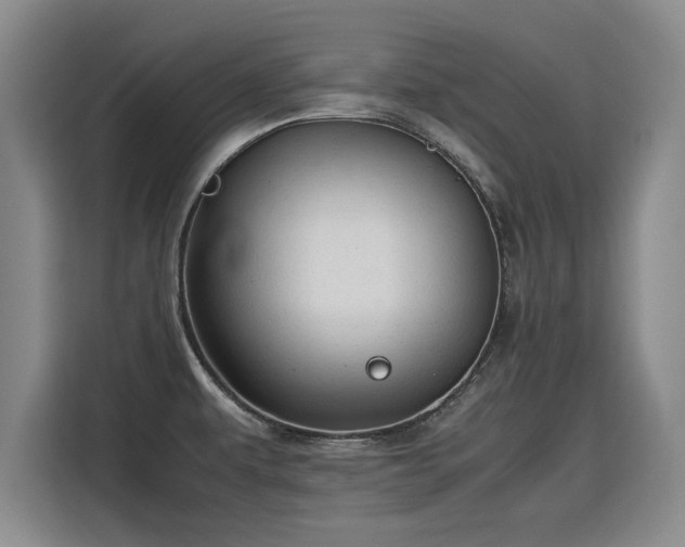 X0000115801479200911201348