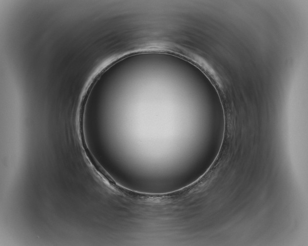 X0000115801480200911201348