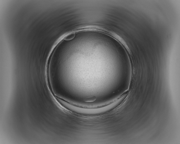 X0000115801482200911201348