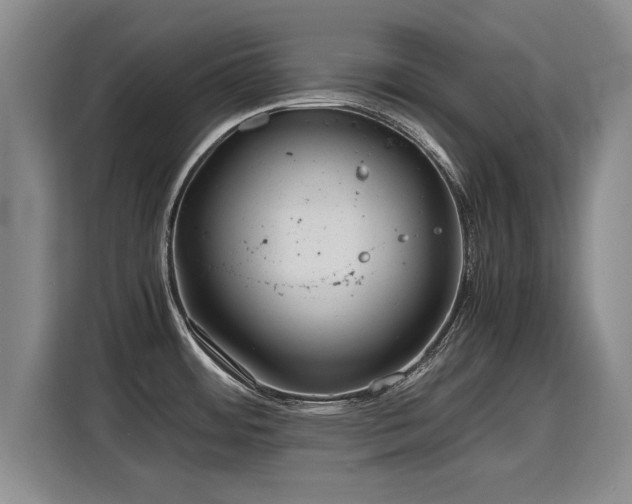 X0000115801484200911201348