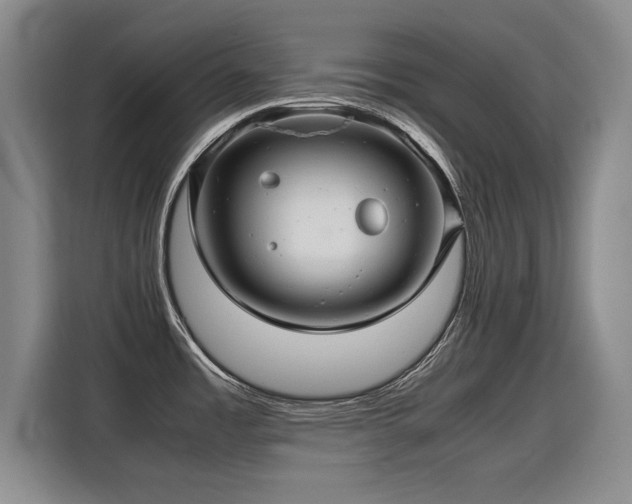X0000115801485200911201348