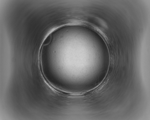 X0000115801487200911201348