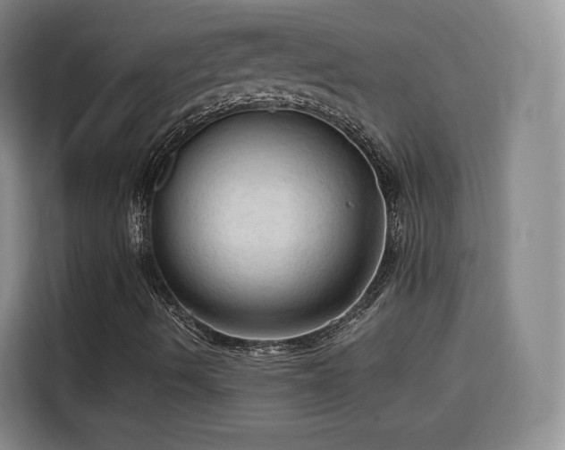 X0000115801490200911201347