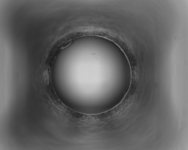 X0000115801493200911201347