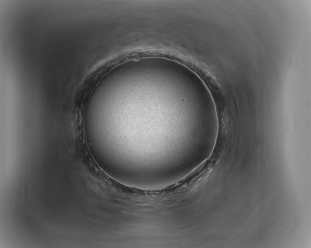 X0000115801494200911201347