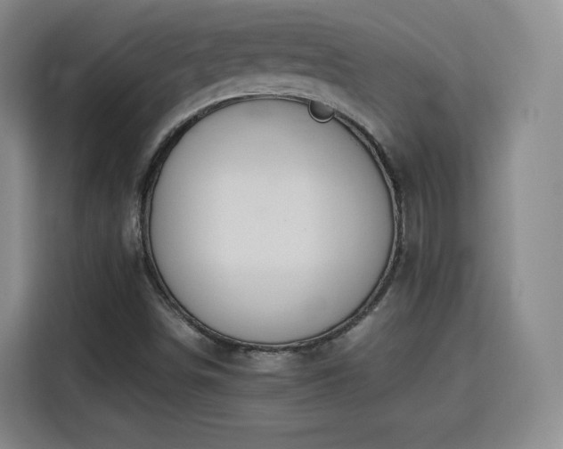 X0000115801498200911201347