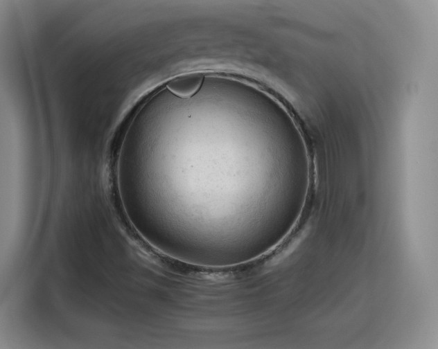 X0000115801501200911201347