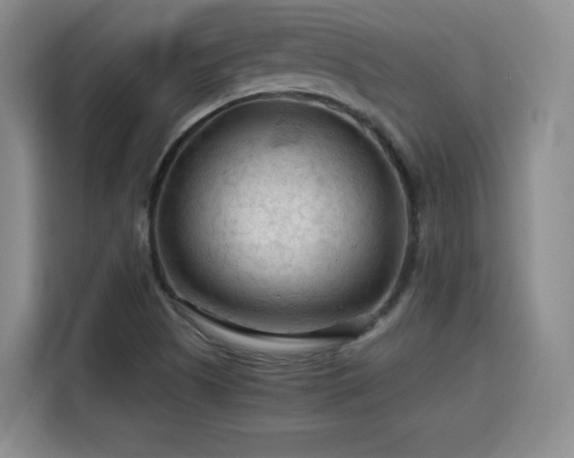 X0000115801505200911201347
